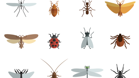 Biyolojik Silah Olarak Böcekler